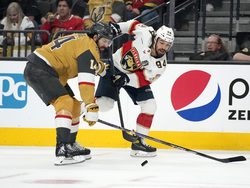 Stanley Cup Panthers Golden Knights Hockey