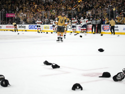 Stanley Cup Panthers Golden Knights Hockey