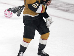 Stanley Cup Panthers Golden Knights Hockey