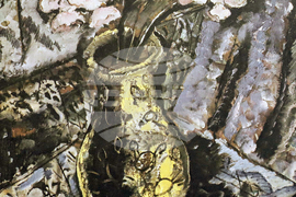 Национална библиотека - изложба - Сирак Скитник - откриване