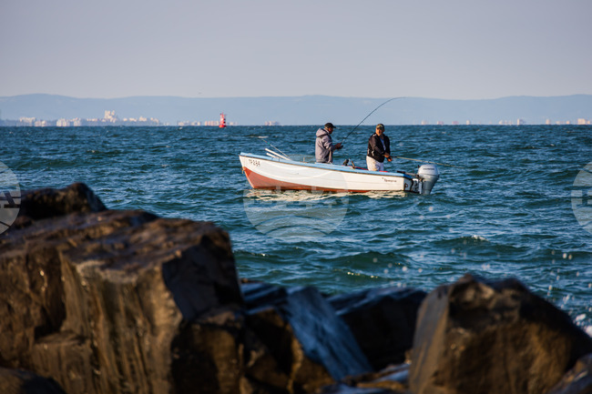 Bonito Abounds in Black Sea, Fishermen Fear Falling Prices