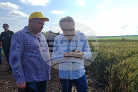 Разград - Ден на пшеницата - зърнопроизводител