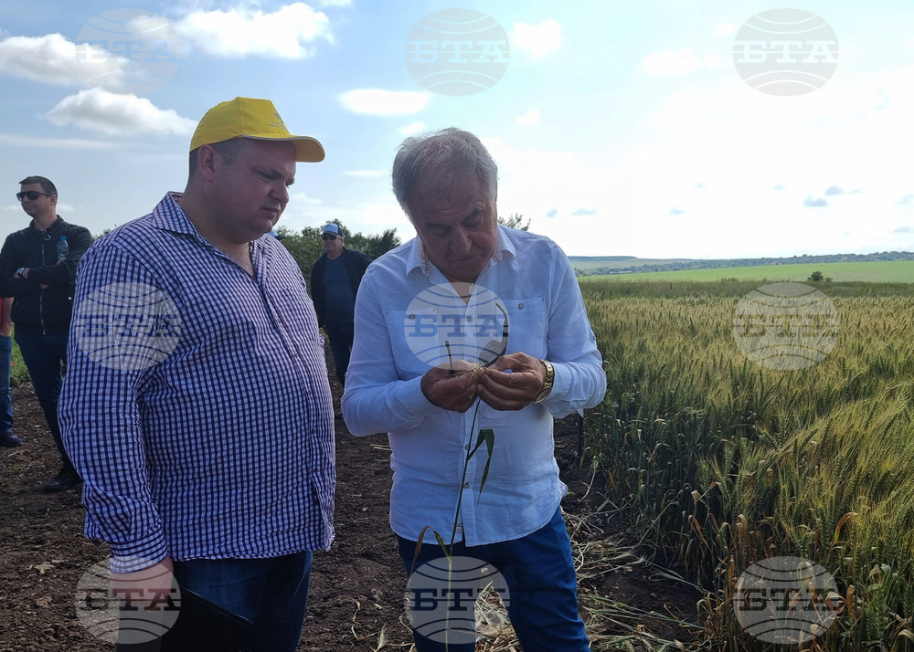Разград - Ден на пшеницата - зърнопроизводител