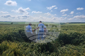 Разград - Ден на пшеницата