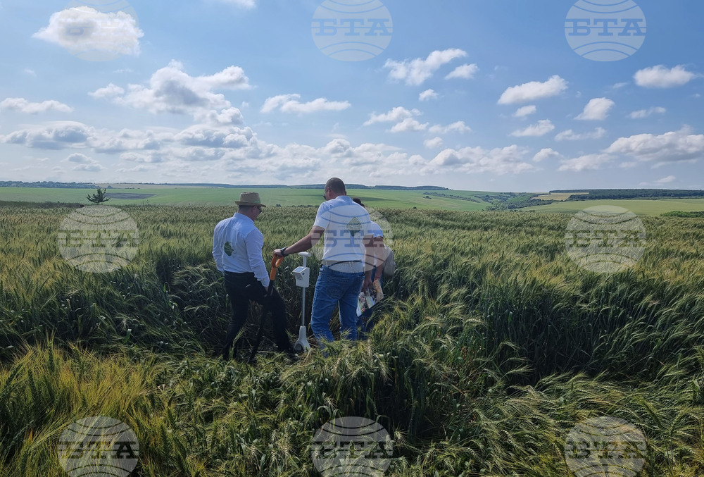 Разград - Ден на пшеницата