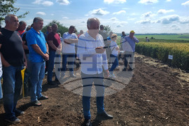 Разград - Ден на пшеницата - зърнопроизводител