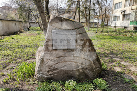 Видин - 137 години от рождението на Жул Паскин