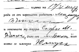 Видин - 137 години от рождението на Жул Паскин