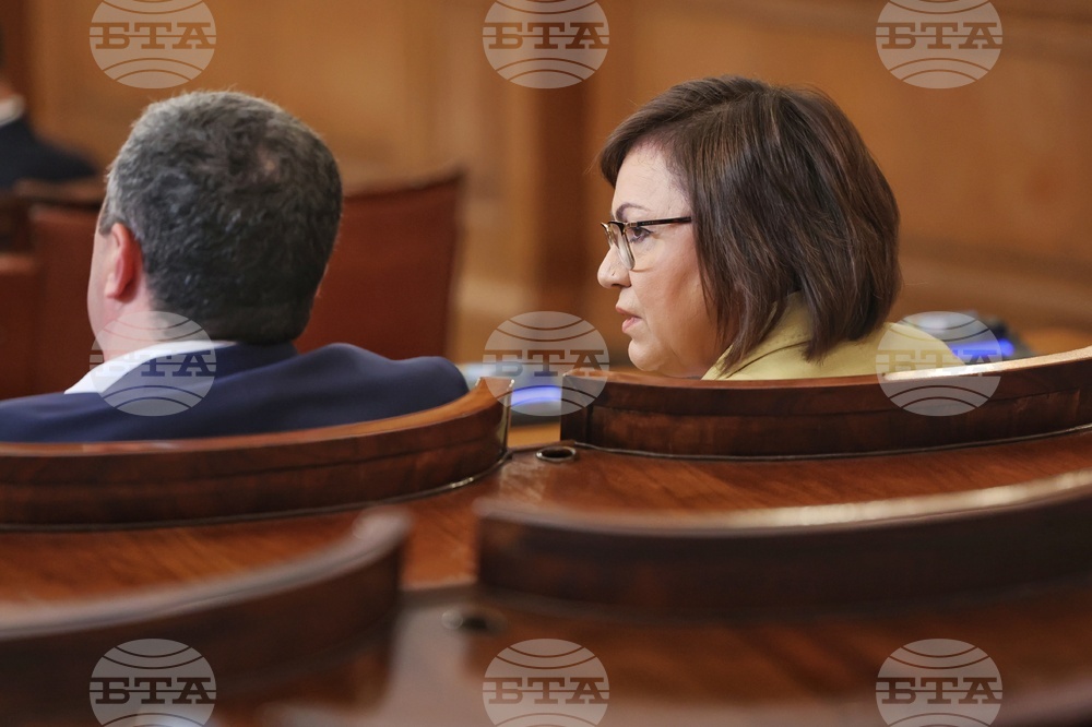 Парламент - заседание - Корнелия Нинова