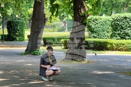 Видин - „Курс за архитекти по опазване на културното наследство“