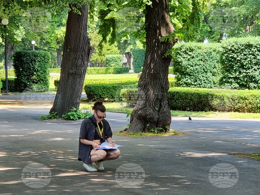 Видин - „Курс за архитекти по опазване на културното наследство“