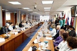 Асоциация Анимус - кръгла маса