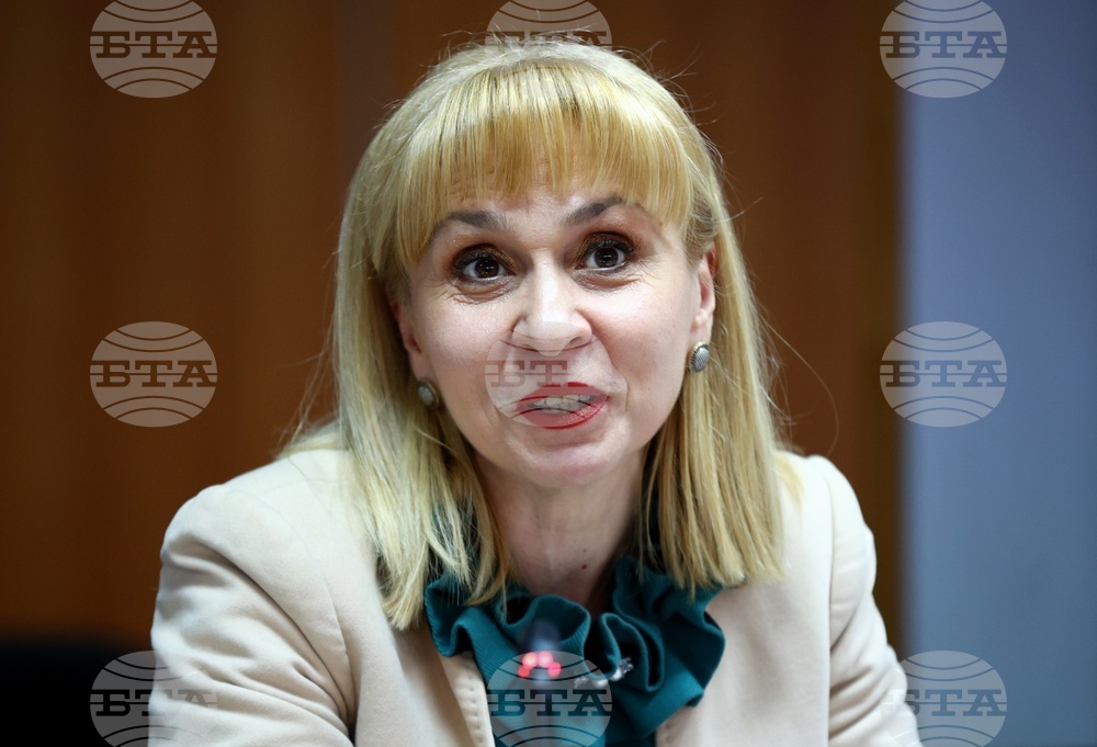 Асоциация Анимус - кръгла маса - Диана Ковачева
