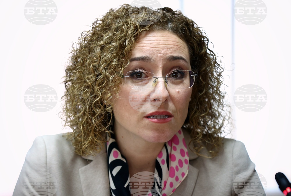 Асоциация Анимус - кръгла маса - Иванка Шалапатова