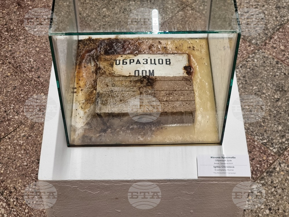 Варна - акция „Тухлата/2023" - изложба