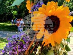 Снимка: Община Хасково