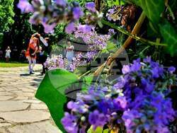 Снимка: Община Хасково