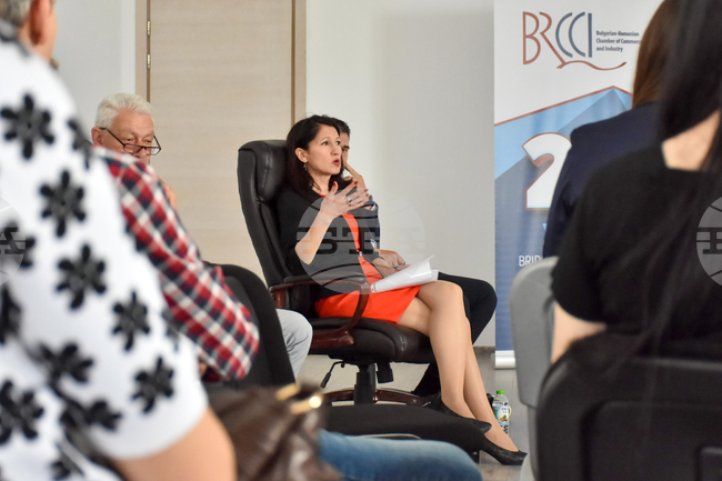 Село Радиново - Дискусия - Българо-румънска търговско-промишлена палата