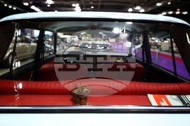 Интер Експо Център - Изложба на ретро и класически автомобили