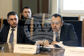 Народно събрание - Комисия по вътрешна сигурност и обществен ред