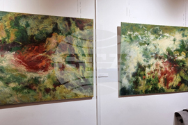 Добрич - Люба Захова - изложба