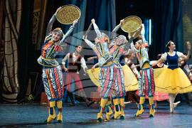 Варна - „Лебедово езеро" - балет