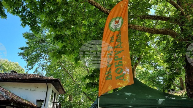 Фермерско изложение "Вкусът на Добруджа" ще гостува за пета поредна година на Лазаровден в Каварна