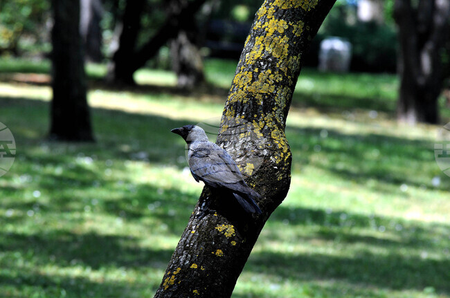 The Weather on October 4-5