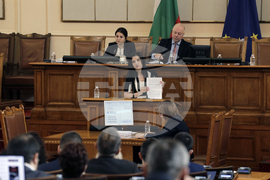 Парламент - заседание - Десислава Трифонова