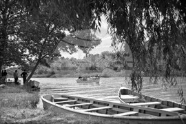 Устието на река Камчия