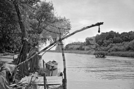 Устието на река Камчия