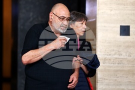 Пламен Владимиров - дело