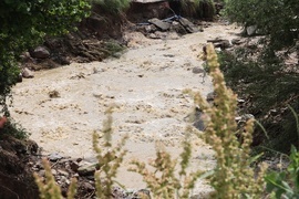 Село Желява - буря - последствия