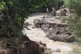 Село Желява - буря - последствия
