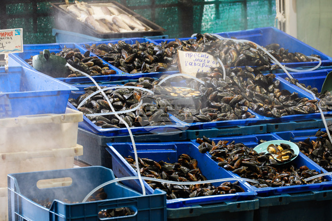 Румъния е по стъпките на България с първи ферми за аквакултури в Черно море