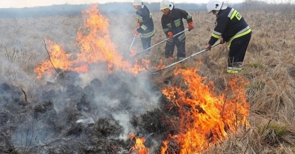 При пожар в тутраканско село изгоряха 300 декара овощна градина