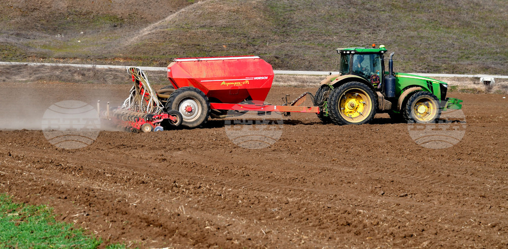 Село Тодорово - сеитба