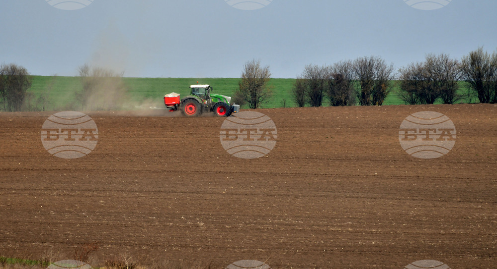Село Тодорово - сеитба