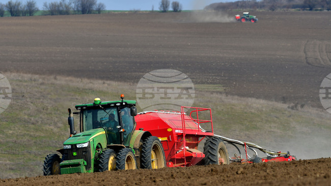 Стартира приемът на заявления за инвестиции в земеделските стопанства по Стратегическия план с бюджет над 378 млн. лв. 