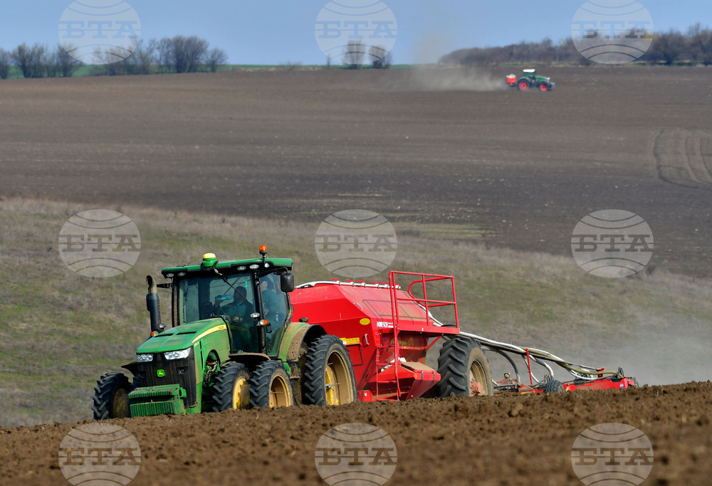 Село Тодорово - сеитба
