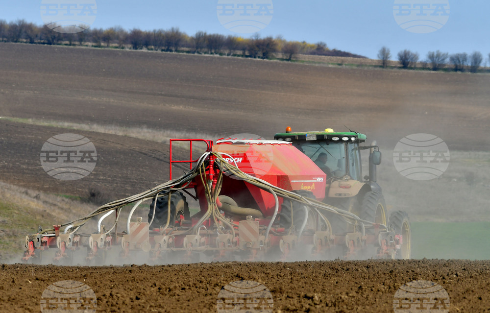 Село Тодорово - сеитба