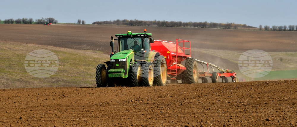 Село Тодорово - сеитба