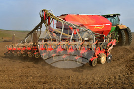 Село Тодорово - сеитба