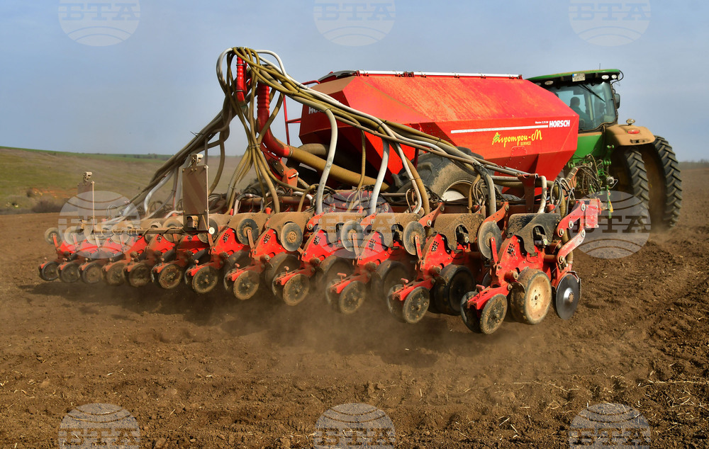 Село Тодорово - сеитба