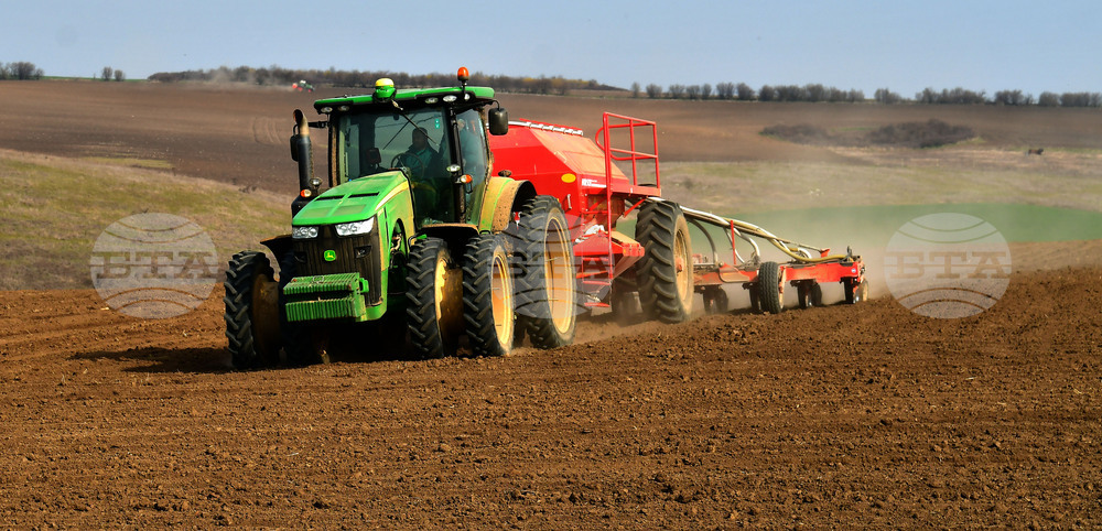 Село Тодорово - сеитба