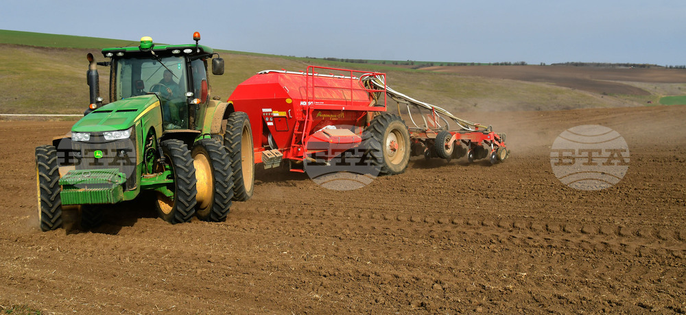 Село Тодорово - сеитба