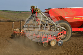 Село Тодорово - сеитба