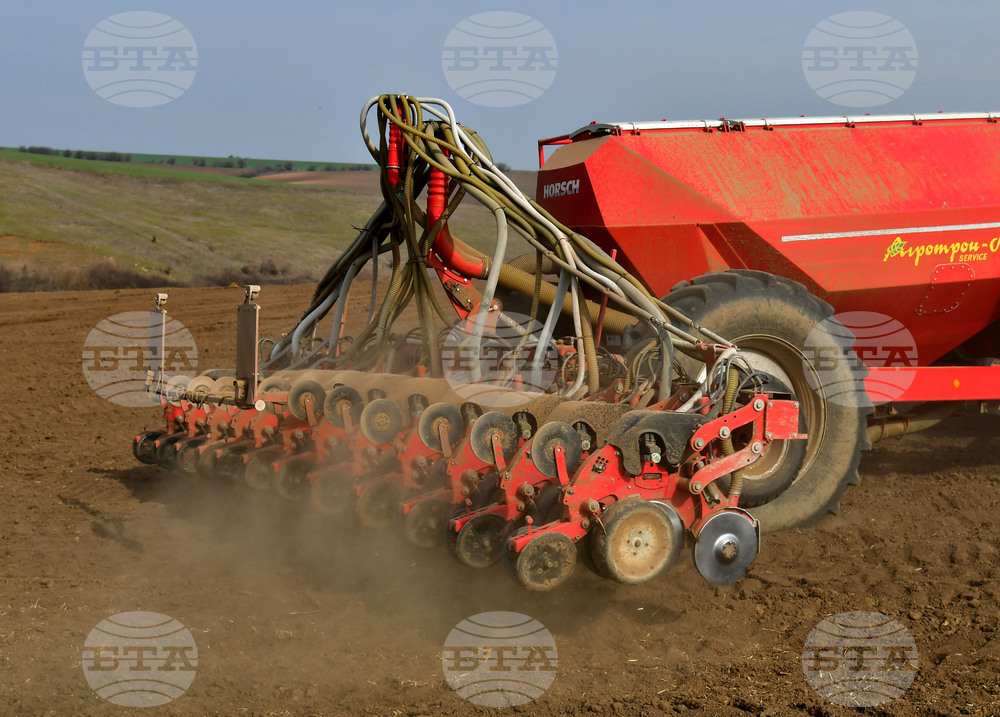 Село Тодорово - сеитба