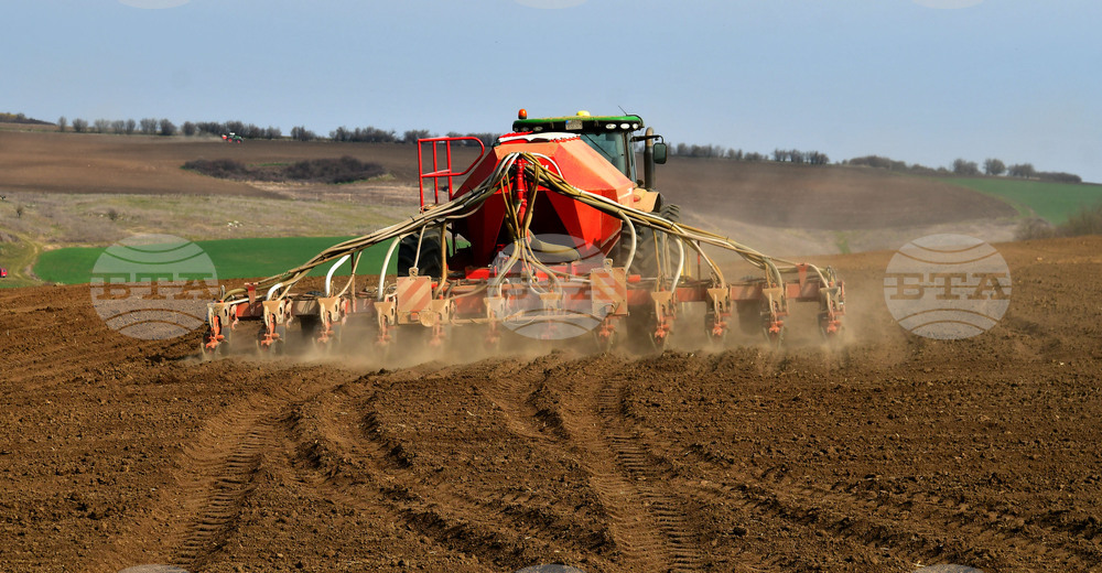Село Тодорово - сеитба
