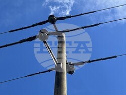 Снимки: Българско дружество за защита на птиците